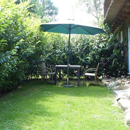 Ferienwohnung Sonnenschein 발스로드 외부 사진